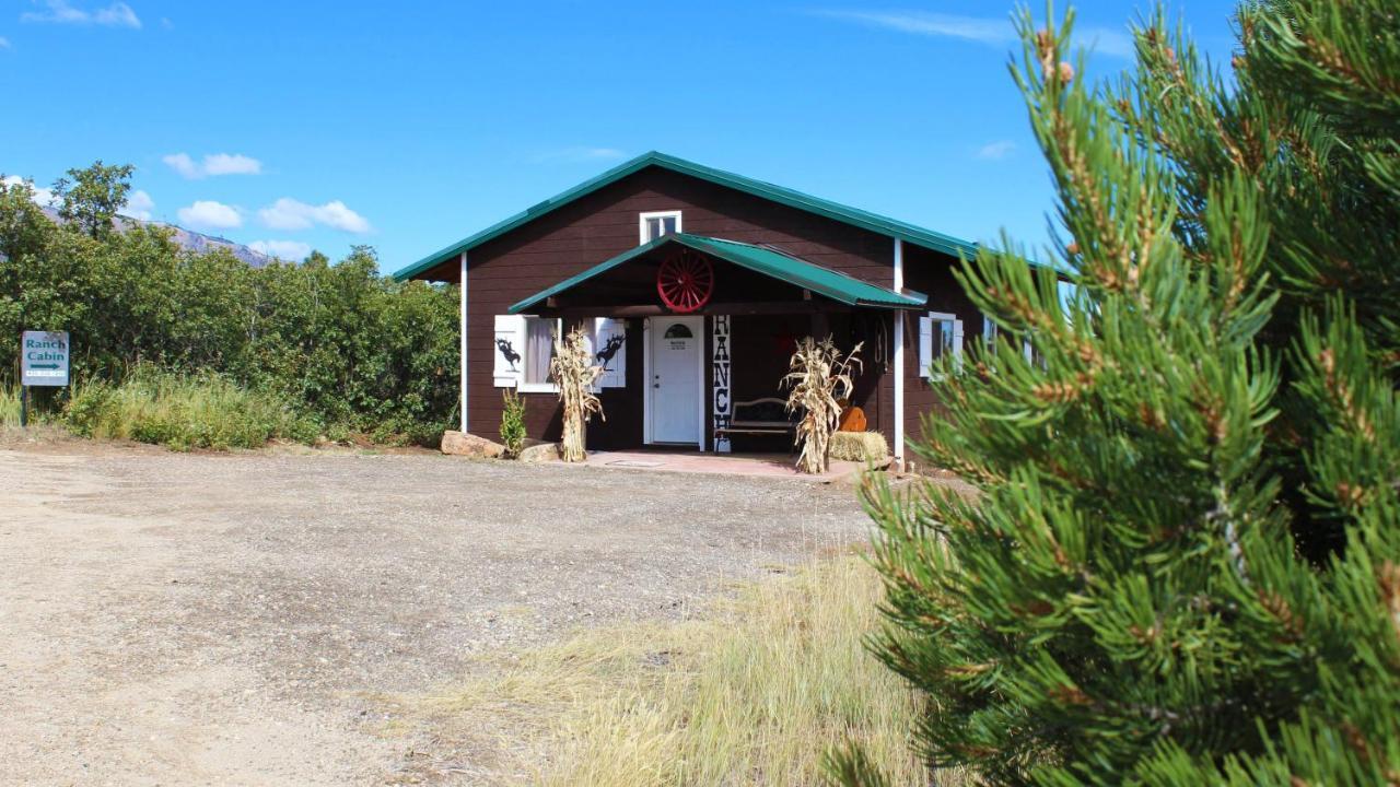 Ranch Mountain Cabin, Stunning! Campfire, Hiking Monticello Εξωτερικό φωτογραφία