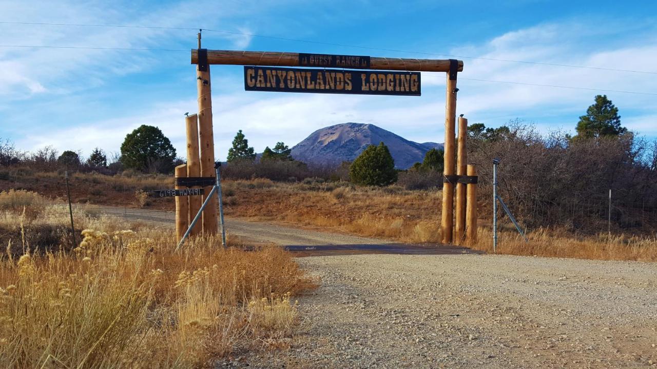 Ranch Mountain Cabin, Stunning! Campfire, Hiking Monticello Εξωτερικό φωτογραφία